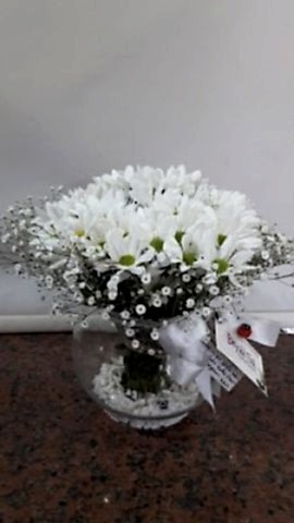 cam fanus içinde papatya