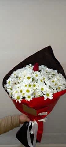 beyaz papatya buketi