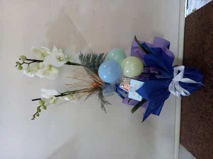 çift dal beyaz orkide