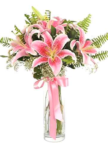 5 dal pembe lilyum Pembe Rüya