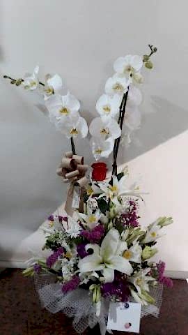 çift dal beyaz orkideli arajman