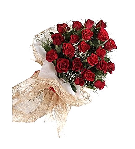 29 Adet Kırmızı Gül