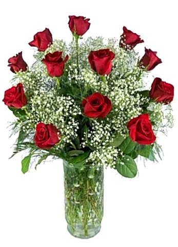 Cipsolu 12 Adet Gül