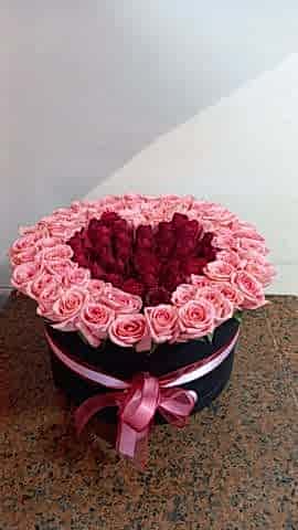 86 adet kırmızı - pembe gül