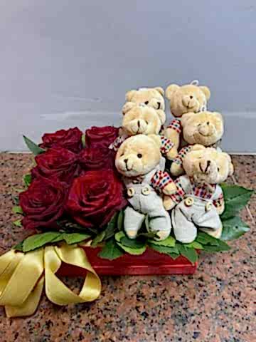 güllü & ayıcıklı arajman