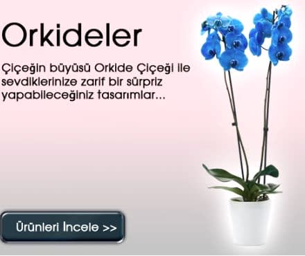 Dikkat Çeken Ürün